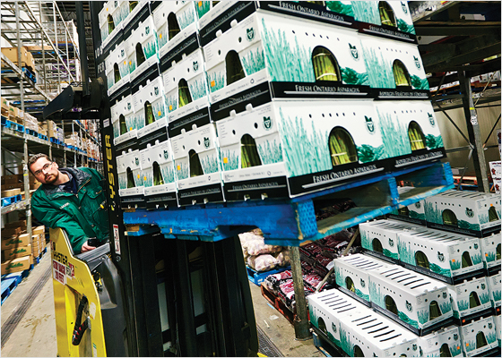 Chep Pallets