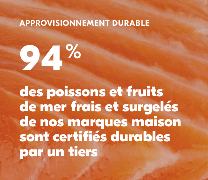 Saumon cru