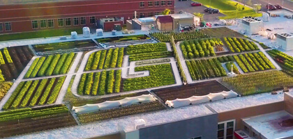 farm-land