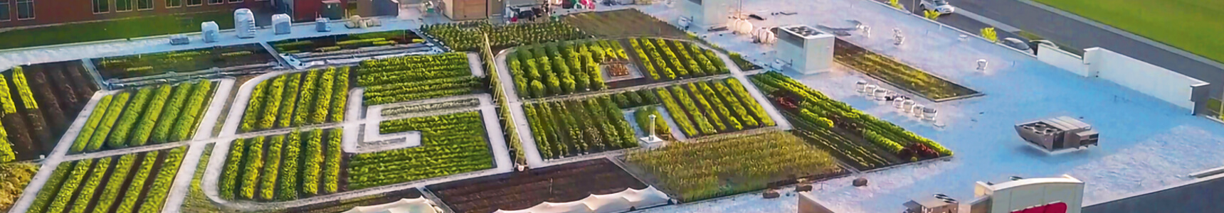 farm_land