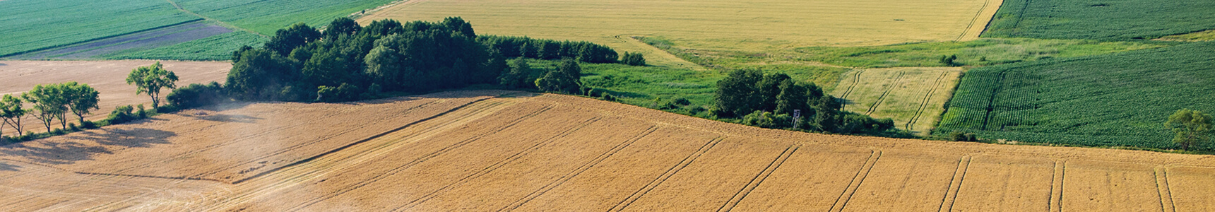 Agricultural_soil
