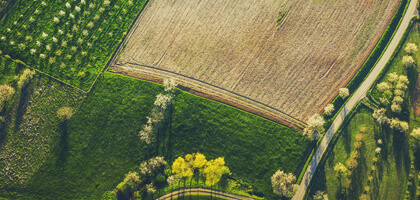 field view