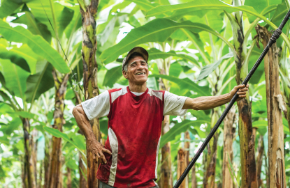 Sustainable fairtrade