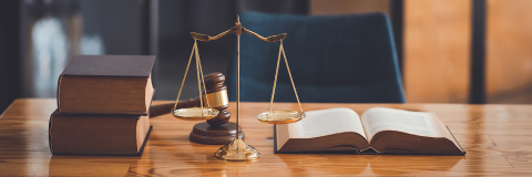 A banner image showing Lady Justice symbolizing human rights